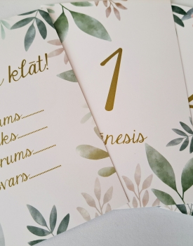 Mazuļa mēneša kartiņas "Lapiņas"